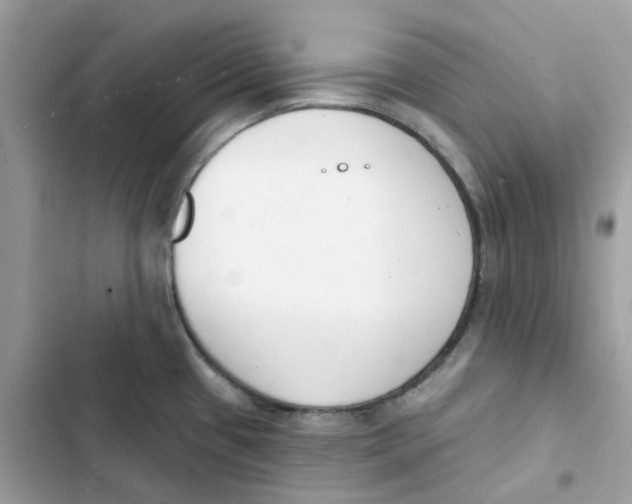 X0000103301433200809191844