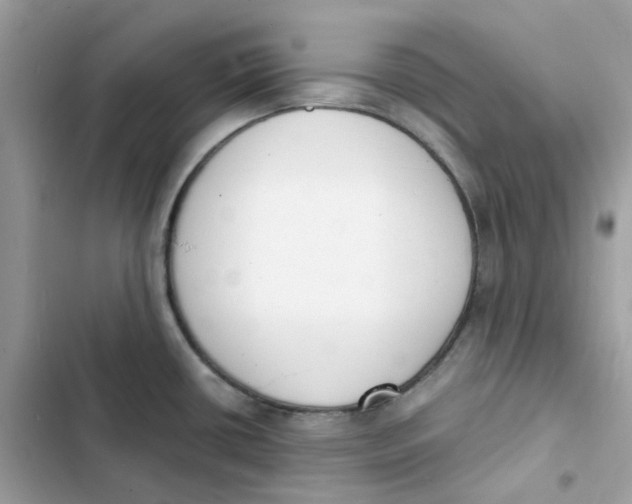 X0000103301434200809191844