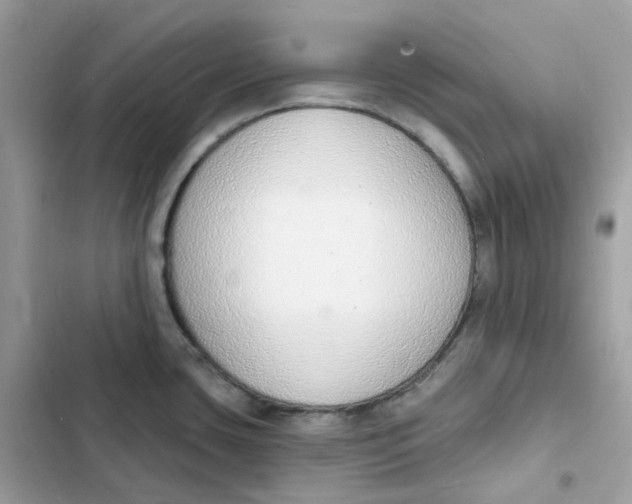 X0000103301435200809191844