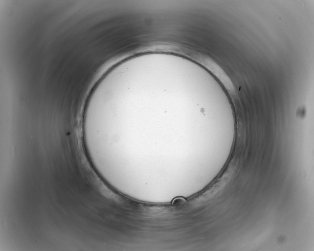 X0000103301436200809191844