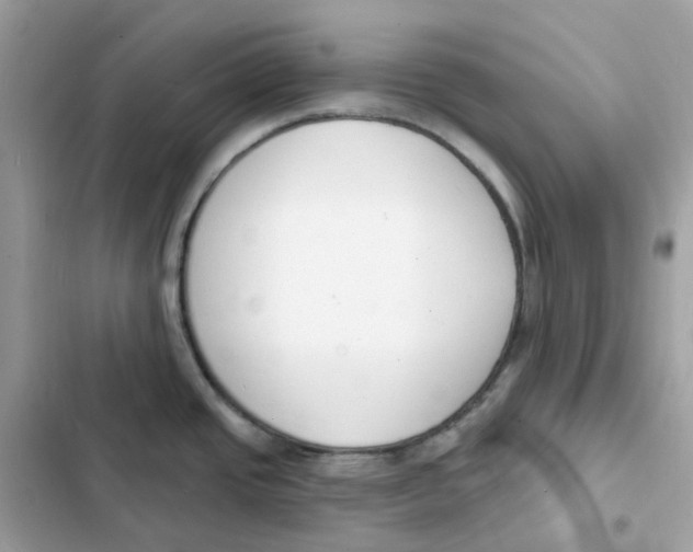 X0000103301437200809191844