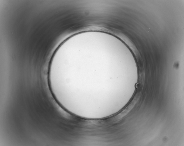 X0000103301438200809191844