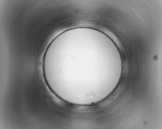 X0000103301439200809191844