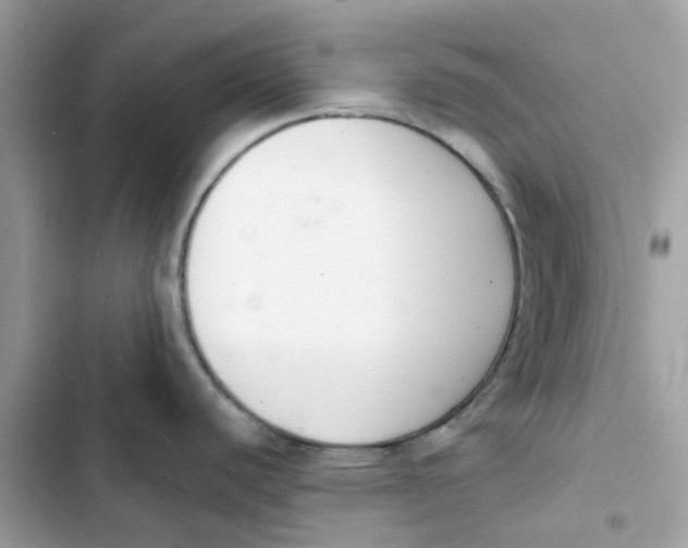 X0000103301440200809191844