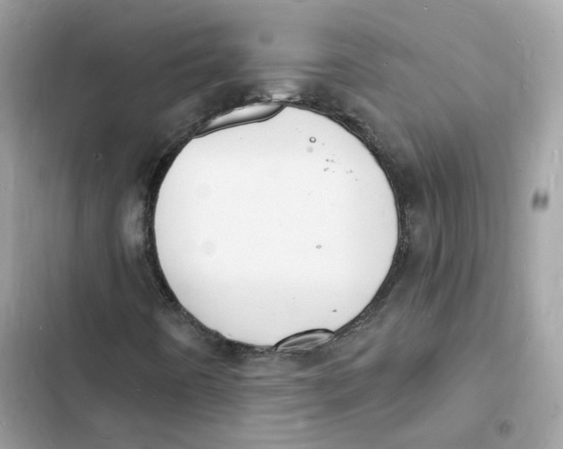 X0000103301442200809191843