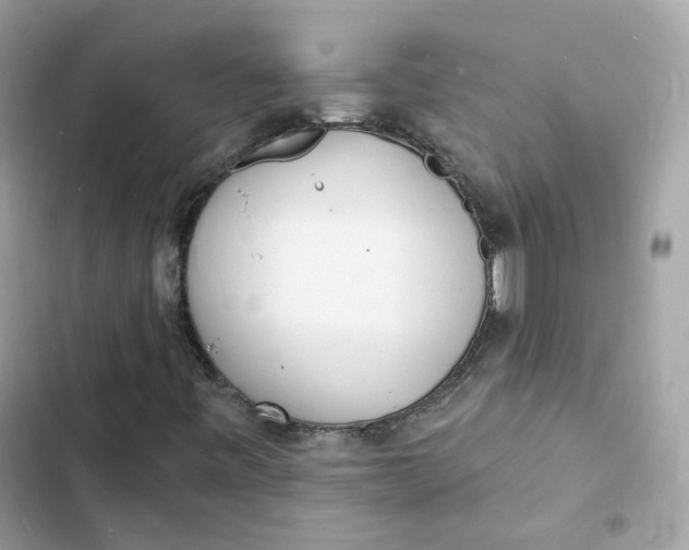 X0000103301443200809191843