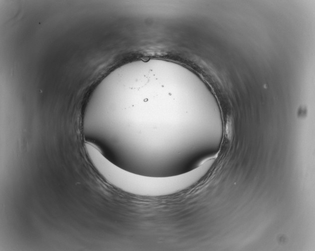 X0000103301444200809191843