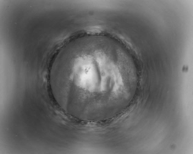 X0000103301445200809191843