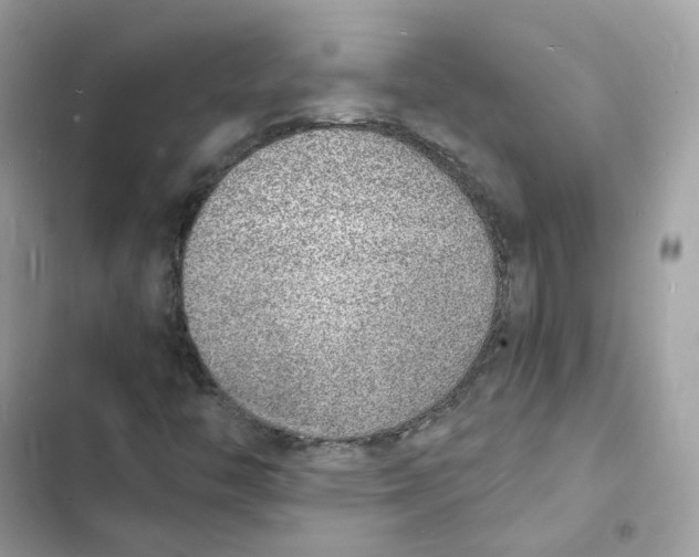 X0000103301446200809191843