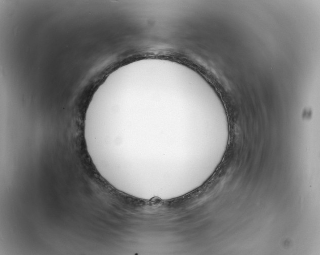 X0000103301447200809191843