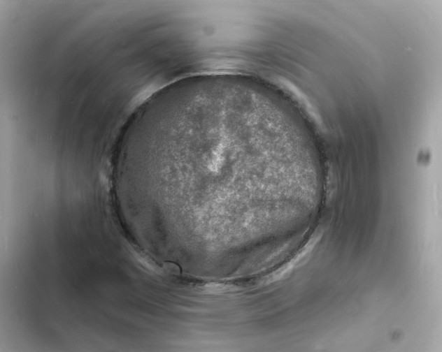 X0000103301449200809191843