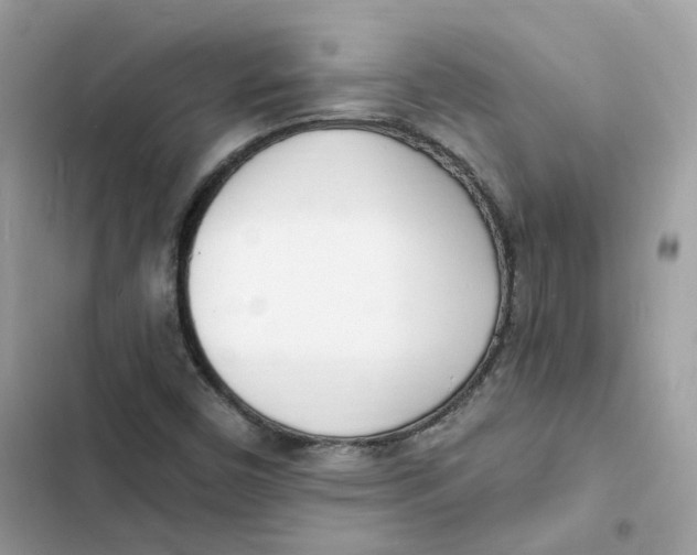 X0000103301450200809191843