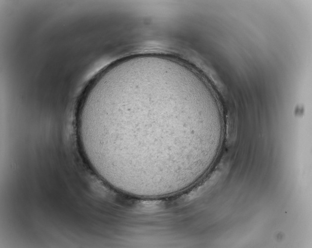 X0000103301453200809191843