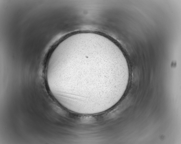 X0000103301454200809191843