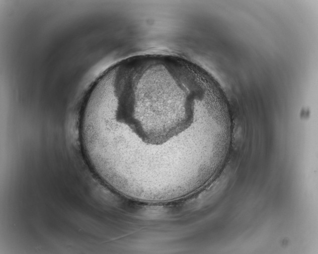 X0000103301455200809191843