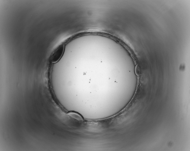 X0000103301456200809191843