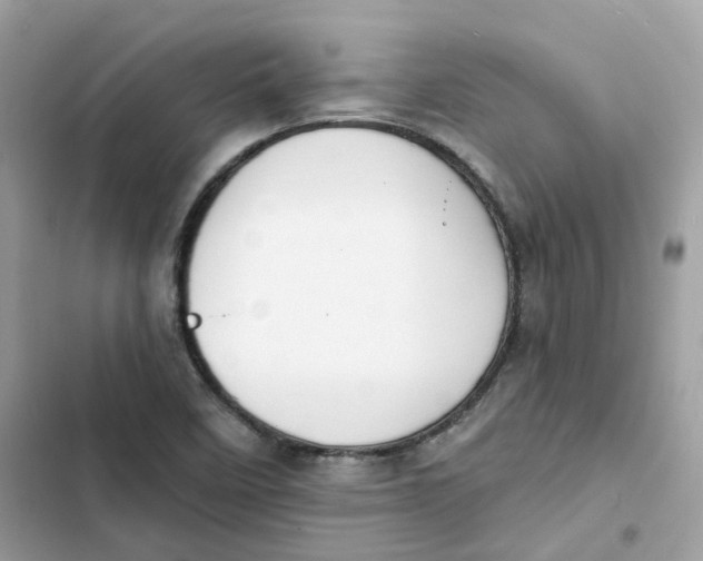 X0000103301458200809191843