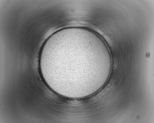 X0000103301459200809191843