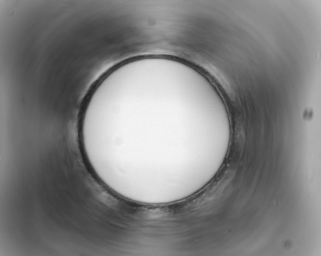 X0000103301460200809191843