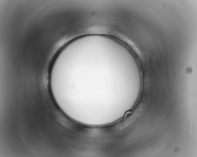 X0000103301461200809191843