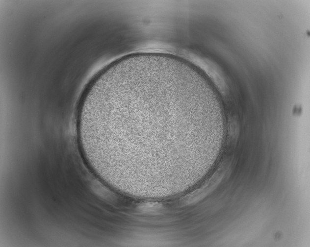 X0000103301462200809191843