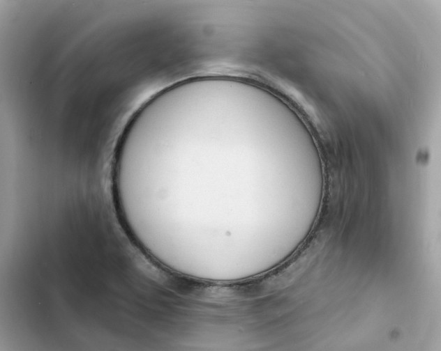 X0000103301463200809191843