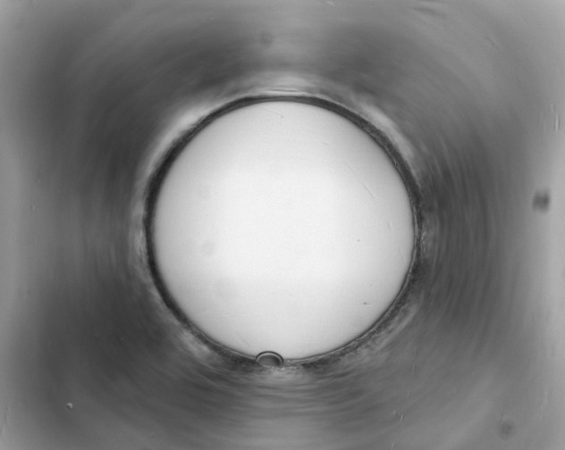 X0000103301464200809191843