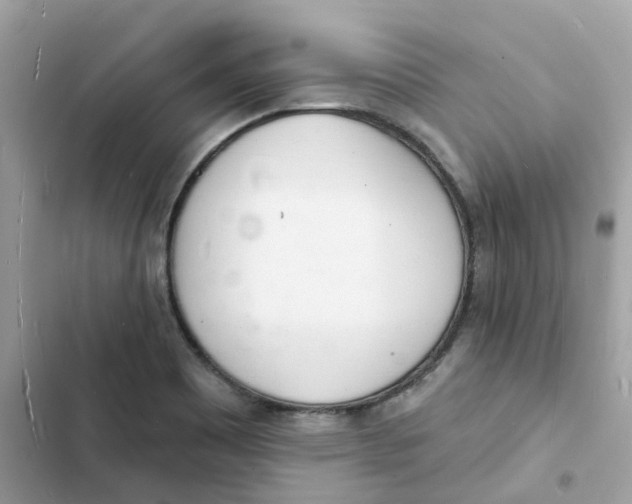 X0000103301465200809191843