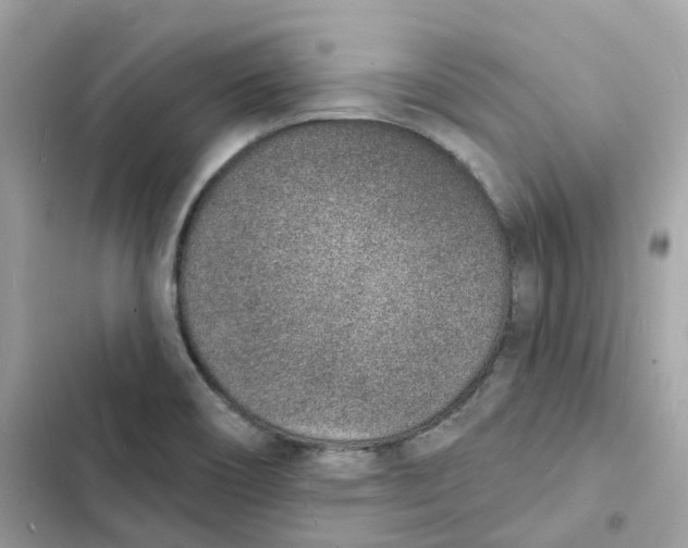 X0000103301466200809191843