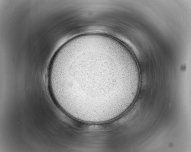 X0000103301467200809191843