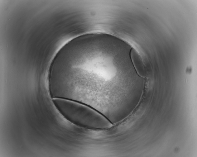 X0000103301468200809191843