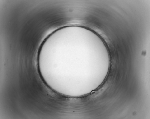 X0000103301469200809191843