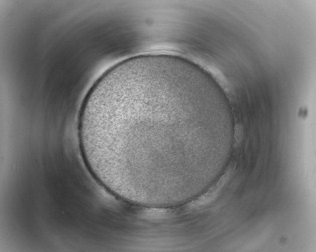 X0000103301470200809191843