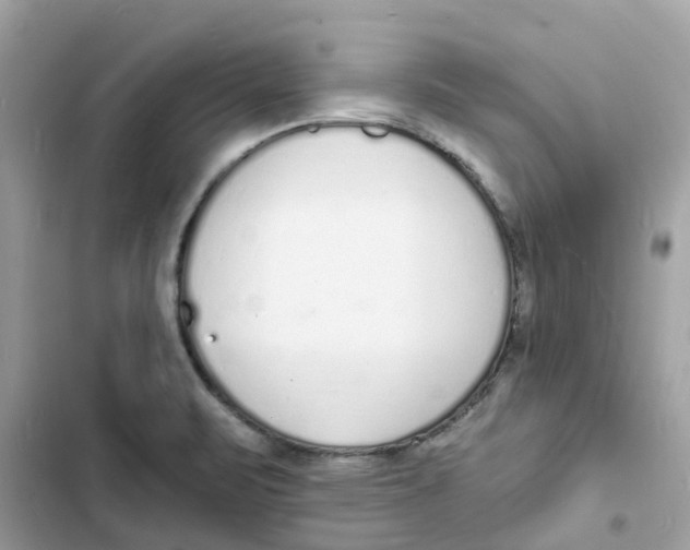 X0000103301471200809191843