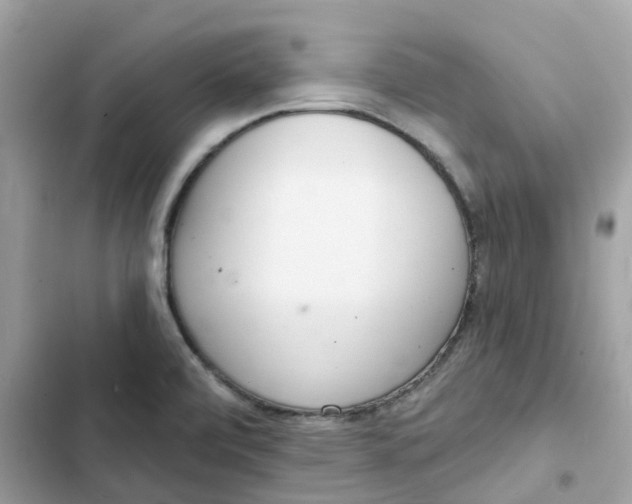 X0000103301472200809191843