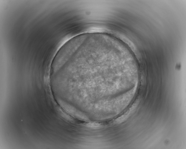 X0000103301473200809191843