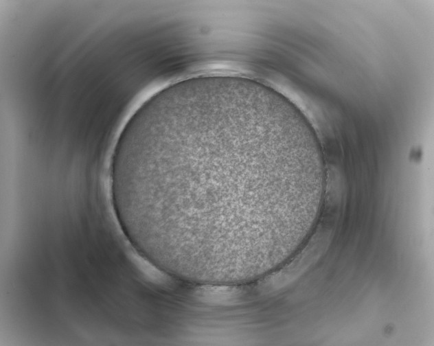 X0000103301474200809191842