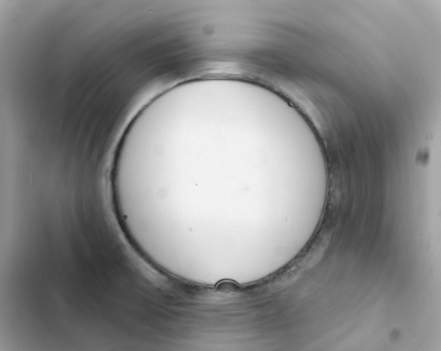 X0000103301475200809191842