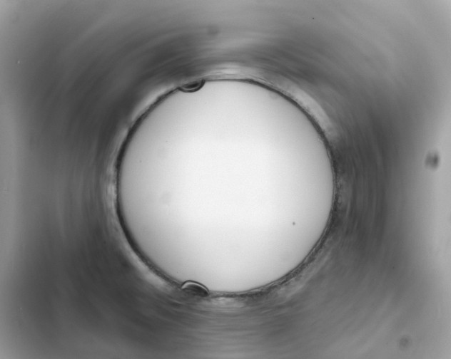 X0000103301476200809191842