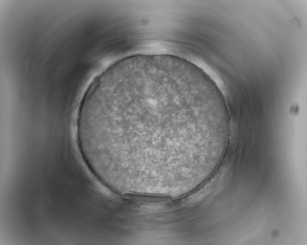 X0000103301477200809191842