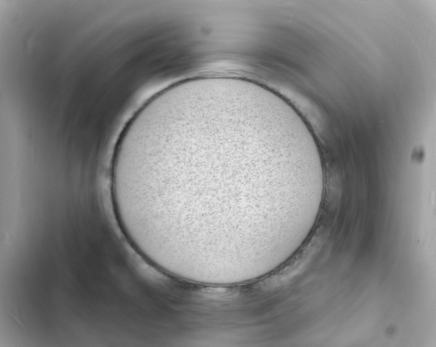 X0000103301478200809191842