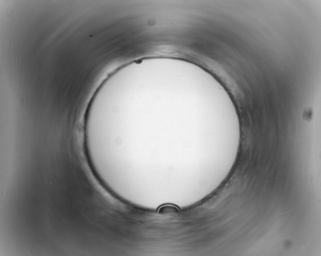 X0000103301479200809191842