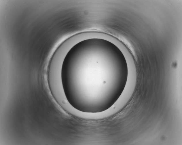 X0000103301480200809191842