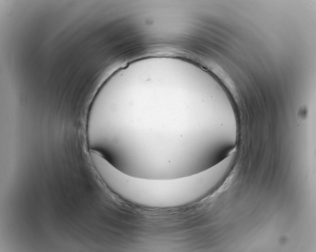 X0000103301481200809191842