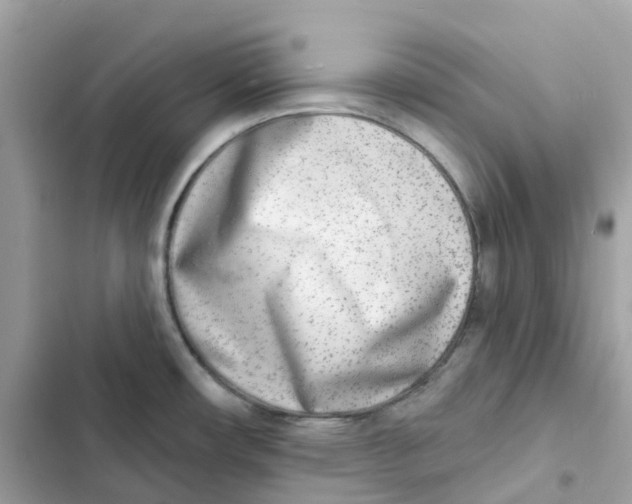 X0000103301482200809191842