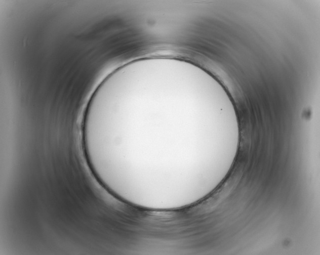 X0000103301483200809191842