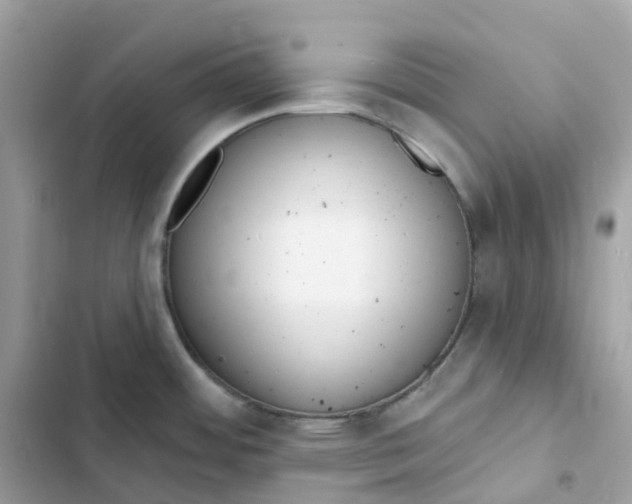 X0000103301484200809191842