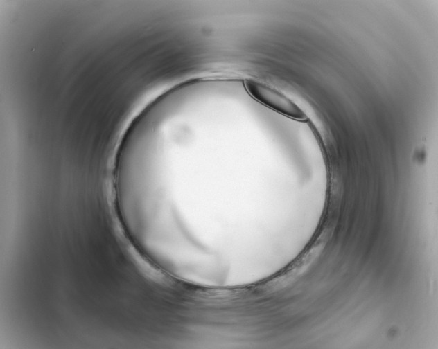 X0000103301485200809191842