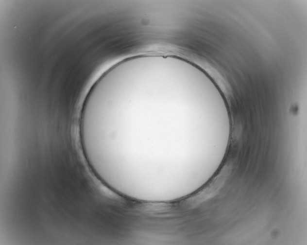 X0000103301486200809191842