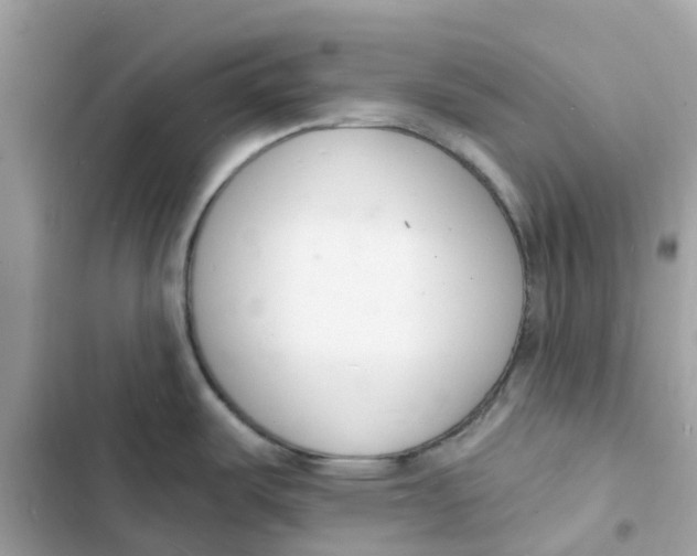 X0000103301487200809191842